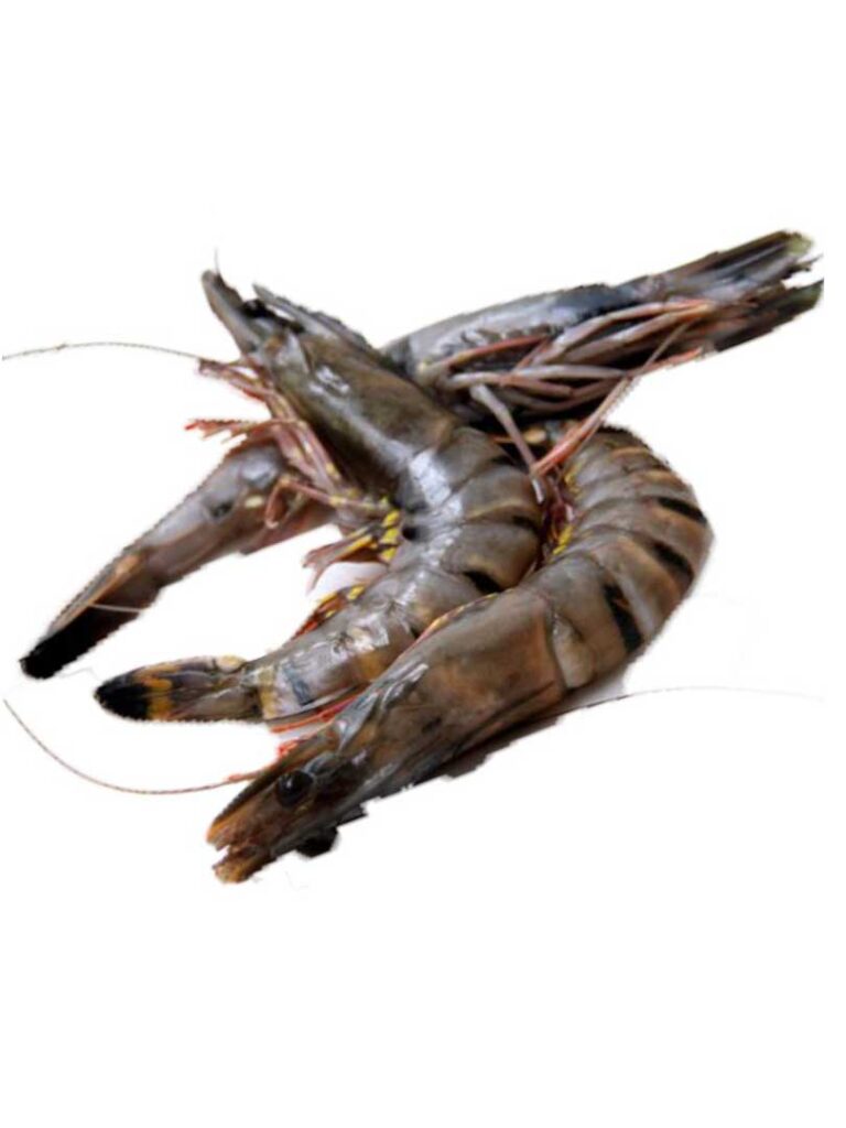 L Prawns