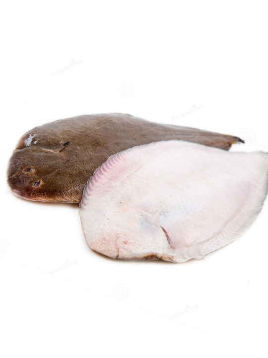 Sole Fish (සොල් )