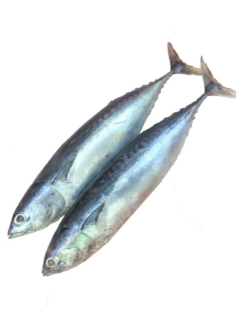 Alaguduva