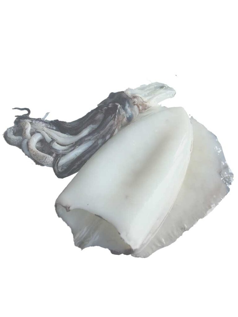 Pili Dalla