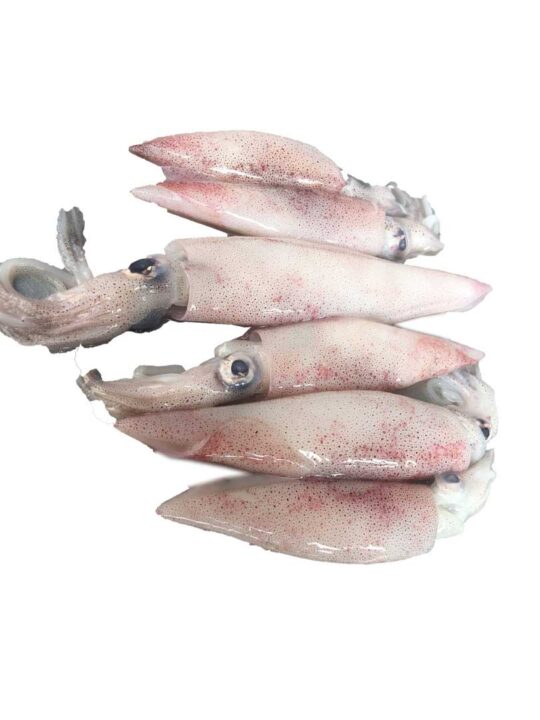 Small Dalla