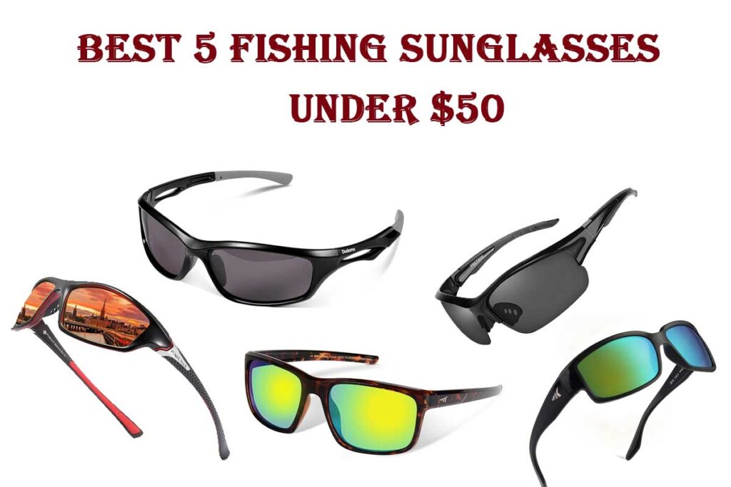 Best 5 Fishing Sunglasses Under 50 Seafoods