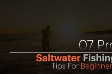 Fishing Tips For Beginners