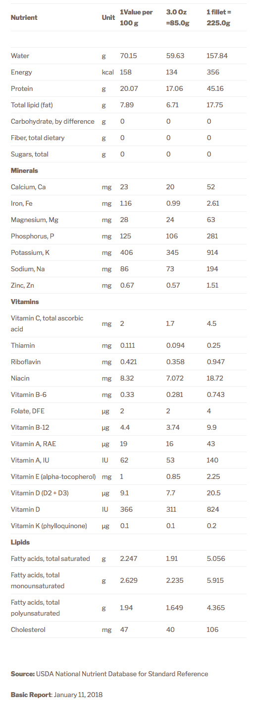 Fresh & Best Indian mackerel Kumbalava Seafoods