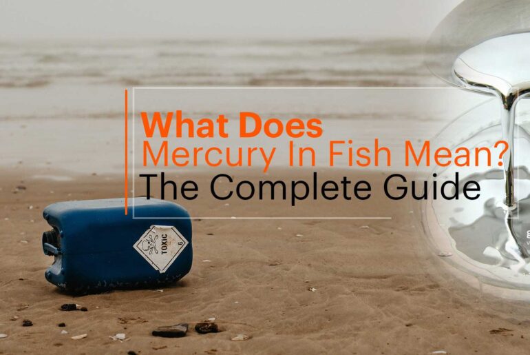 What Does Mercury In Fish Mean?  The Complete Details  Guide & Buying Reviews Mercury in fish