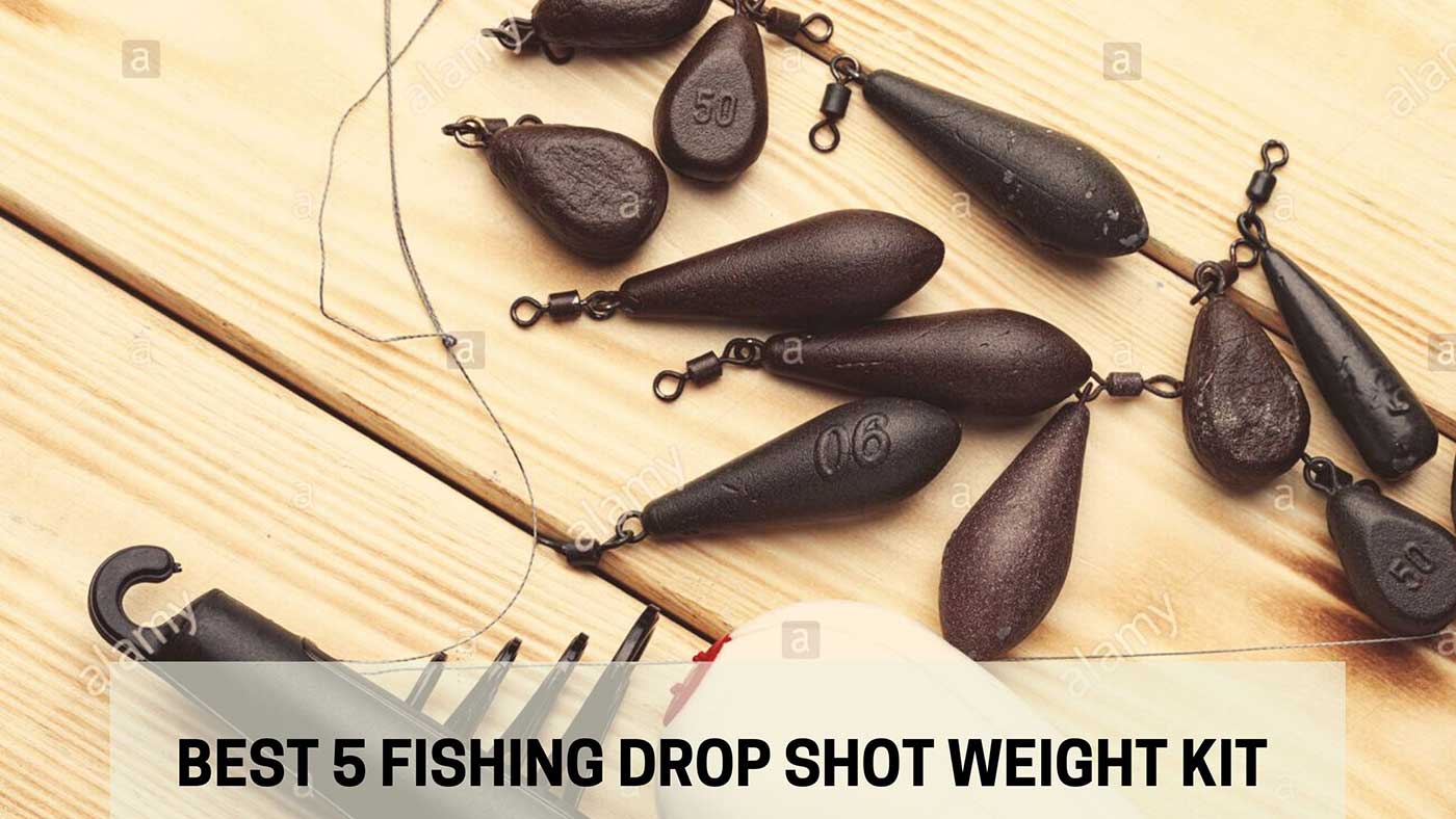 10 Assorted Drop Shot Shotting Fishing Shads   for Rod & Reel Type drop Fishing 