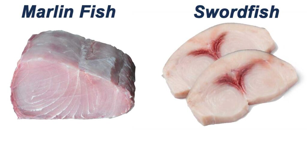 Swordfish VS Marlin