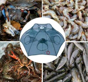 Fishing-Net-Trap-Foldable-Fish-Minnow-Carb-Crayfish-Crawdad-Shrimp