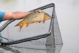 LANDING NET UNDER 50