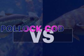 Pollock Vs Cod