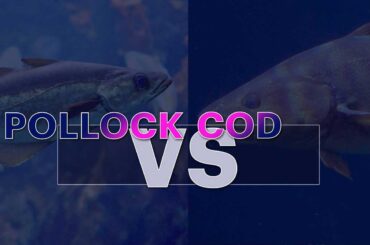 Pollock Vs Cod