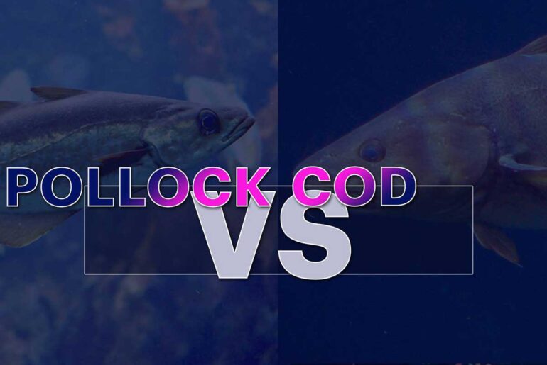 Pollock Vs Cod What Differences You May Find Pollock Vs Cod