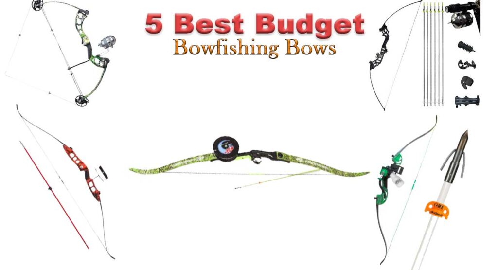 Top 5 Best Budget Bowfishing Bows for Beginners & amp; Professionals