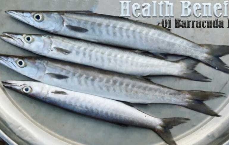 Health Benefits Of Barracuda Fish