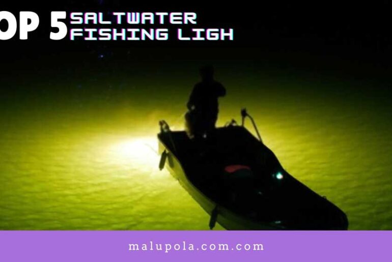 TOP 5 Best Saltwater Fishing Light to Attract More Fish Saltwater Fishing Light