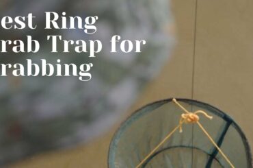 Discover The Top 5 Best Ring Crab Trap for Your Next Crabbing Adventure Best Ring Crab Trap