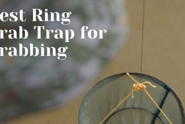 Discover The Top 5 Best Ring Crab Trap for Your Next Crabbing Adventure Best Ring Crab Trap