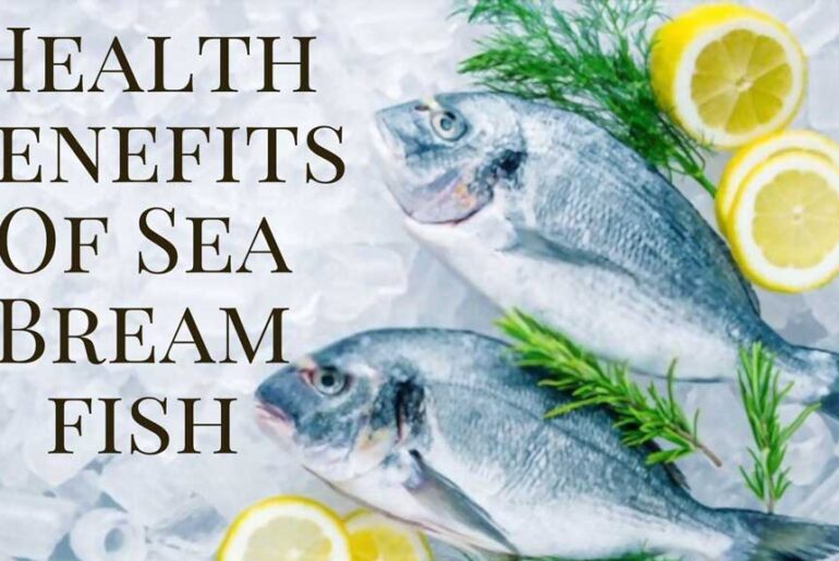 Top 5 Health Benefits Of Sea Bream fish Benefits of sea bream