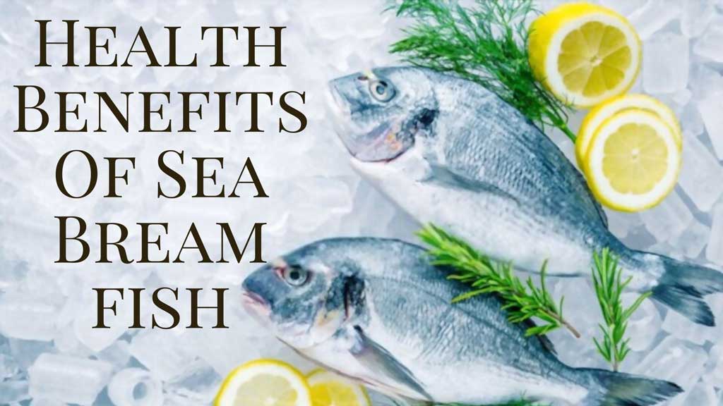 Top 5 Health Benefits Of Sea Bream fish - Seafoods
