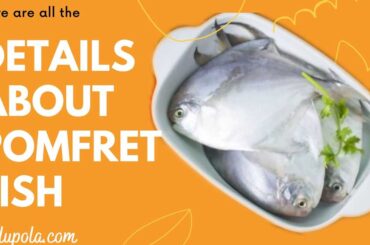 Pomfret fish
