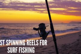 Best Spinning Reels for Surf Fishing