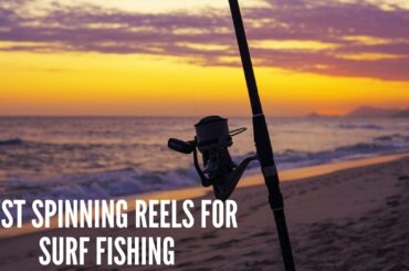 Best Spinning Reels for Surf Fishing