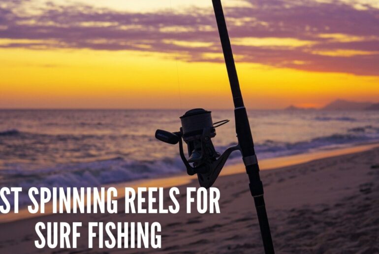 The 5 Best Spinning Reels for Surf Fishing: Take Your Surf Fishing To the Next Level Best Spinning Reels for Surf Fishing