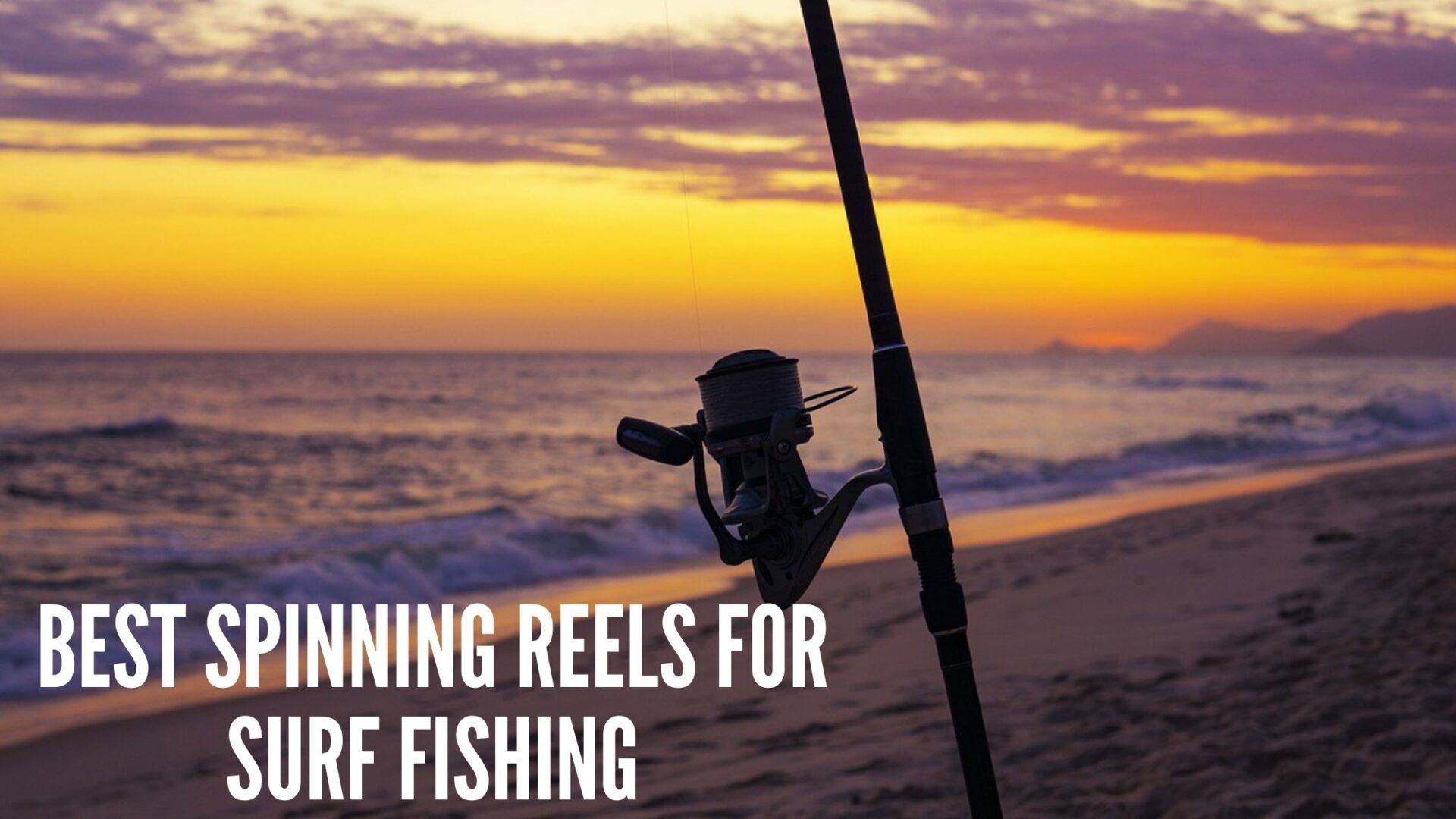 The 5 Best Spinning Reels for Surf Fishing: Take Your Surf Fishing
