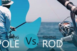 Fishing Pole Vs Rod