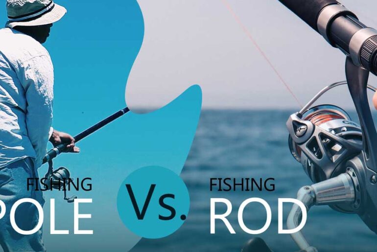 Fishing Pole Vs Rod