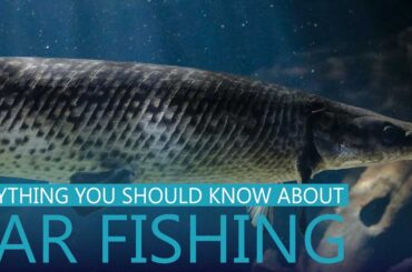 Gar Fishing