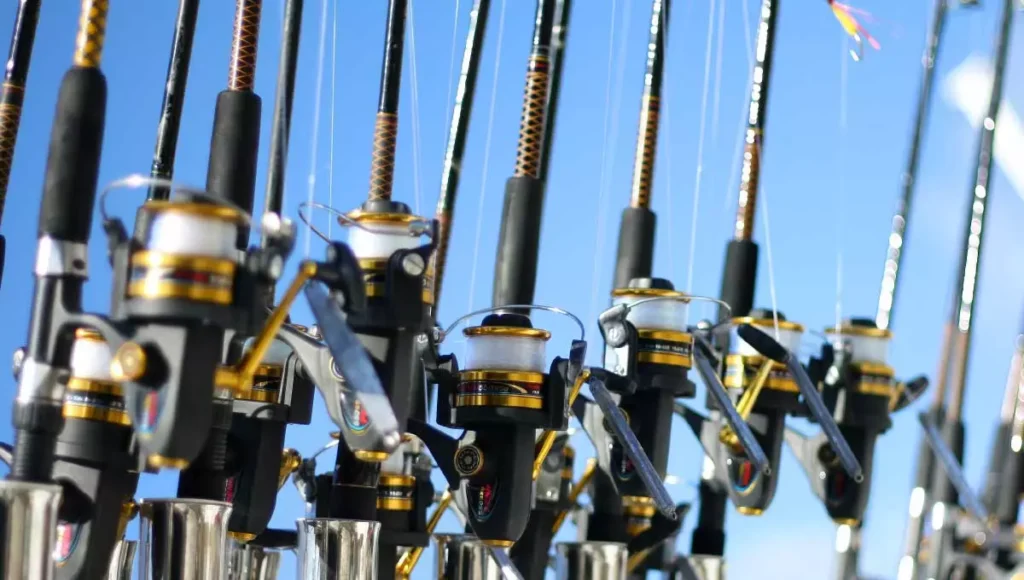 Types Of Fishing Rod