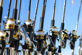 Types Of Fishing Rod