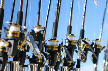 Types Of Fishing Rod