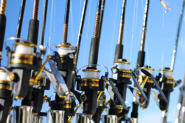 Types Of Fishing Rod