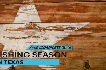 fishing season texas