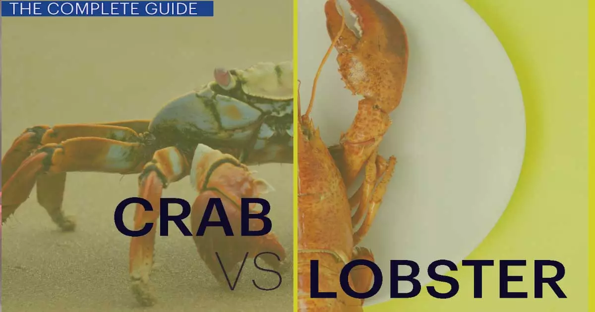 Crab Vs Lobster: Which Is Better? The Complete Guide - Seafoods