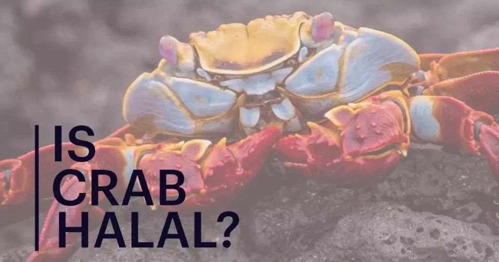 Is Crab Halal