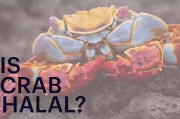 Is Crab Halal? Are Muslims allowed to eat it? Is Crab Halal