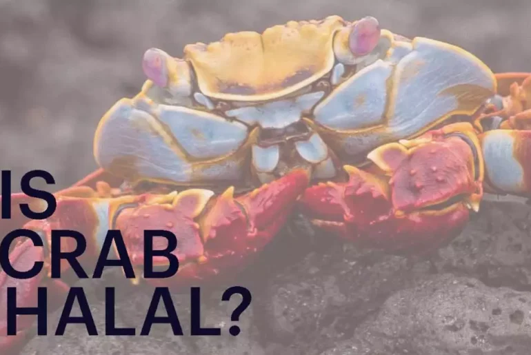 Is Crab Halal? Are Muslims allowed to eat it? Is Crab Halal