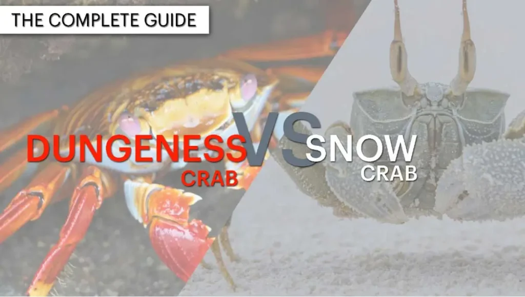 Dungeness Crab Vs Snow Crab