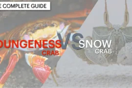 Dungeness Crab Vs Snow Crab