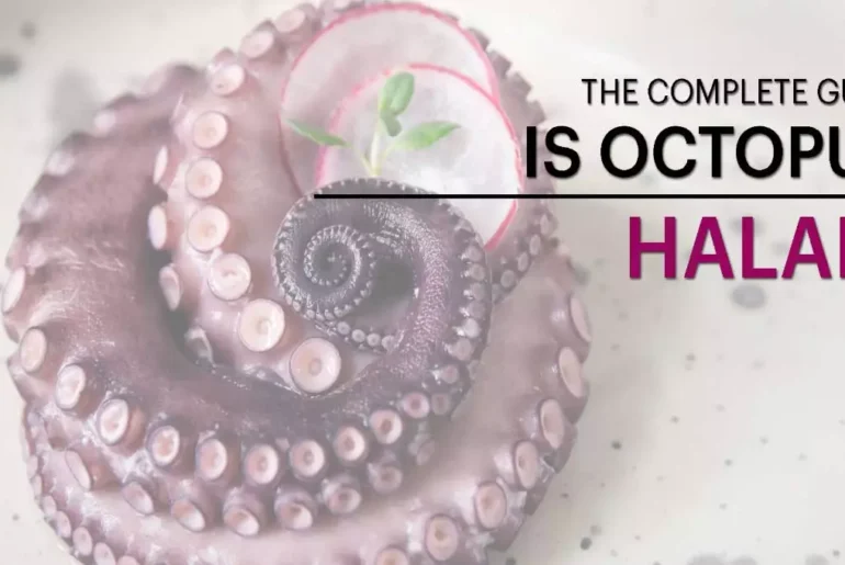 Is Octopus Halal? And More Thing You Should Know As An Islamic Is Octopus Halal