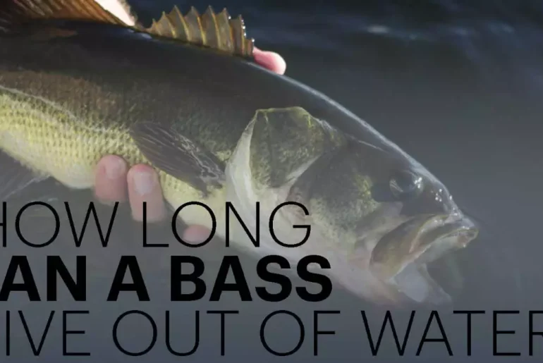 How Long Can A Bass Live Out Of Water