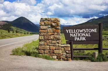 Yellowstone Fishing Trip | Complete Guide Must-read Yellowstone Fishing Trip