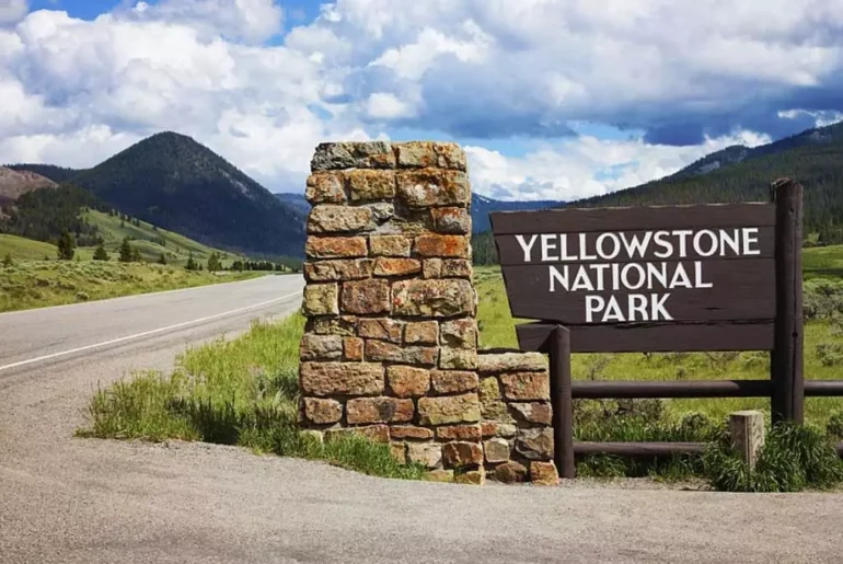 Yellowstone Fishing Trip | Complete Guide Must-read Yellowstone Fishing Trip