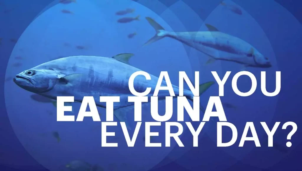 Can You Eat Tuna Every day