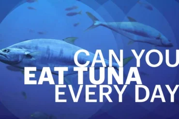 Can You Eat Tuna Every day