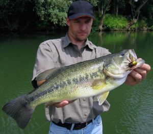 Bass-Fish-Horizontal-Hold