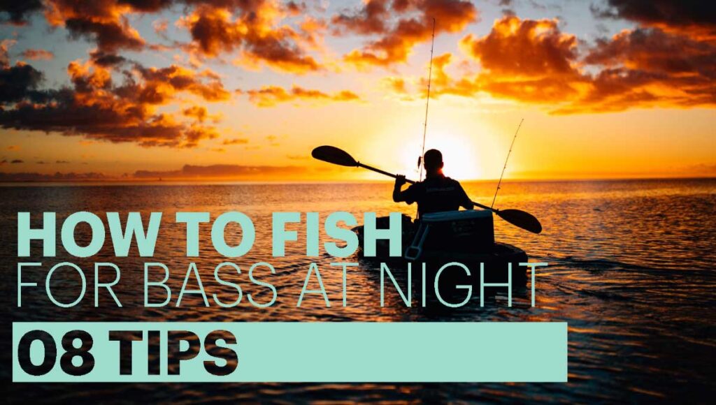 how to fish for bass at night